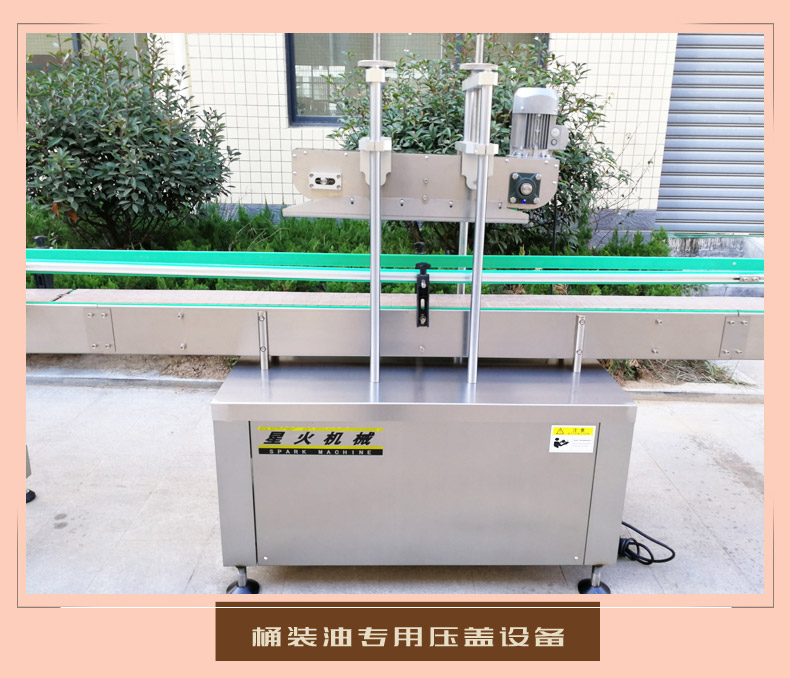 4头食用油液体灌装压盖设备(图5)