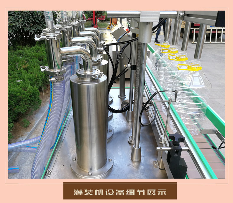 4头食用油液体灌装压盖设备(图7)