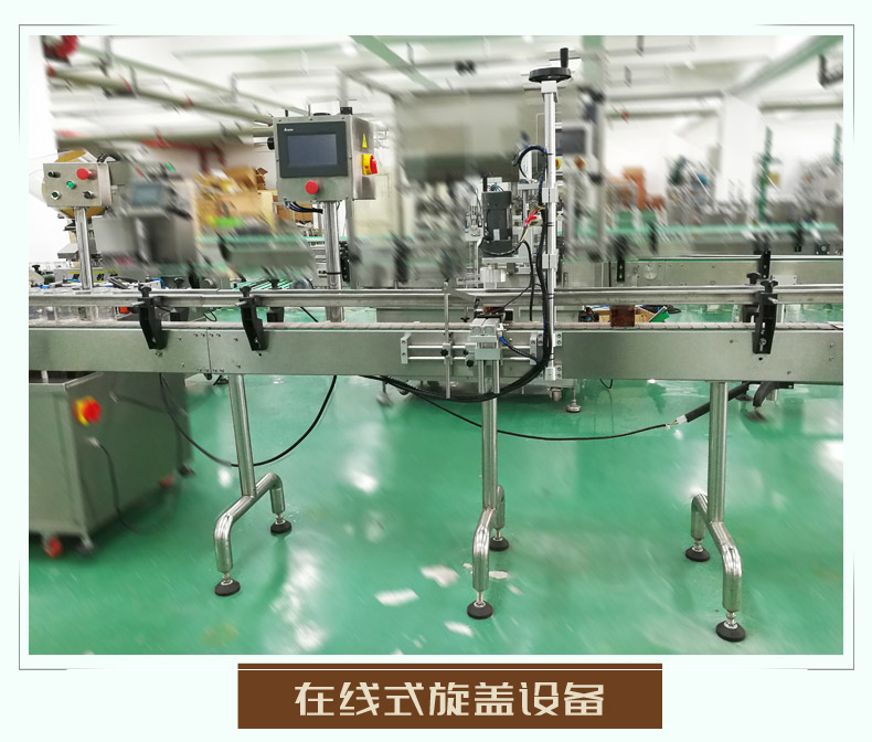 小瓶液体灌装旋盖一体生产线(图5)