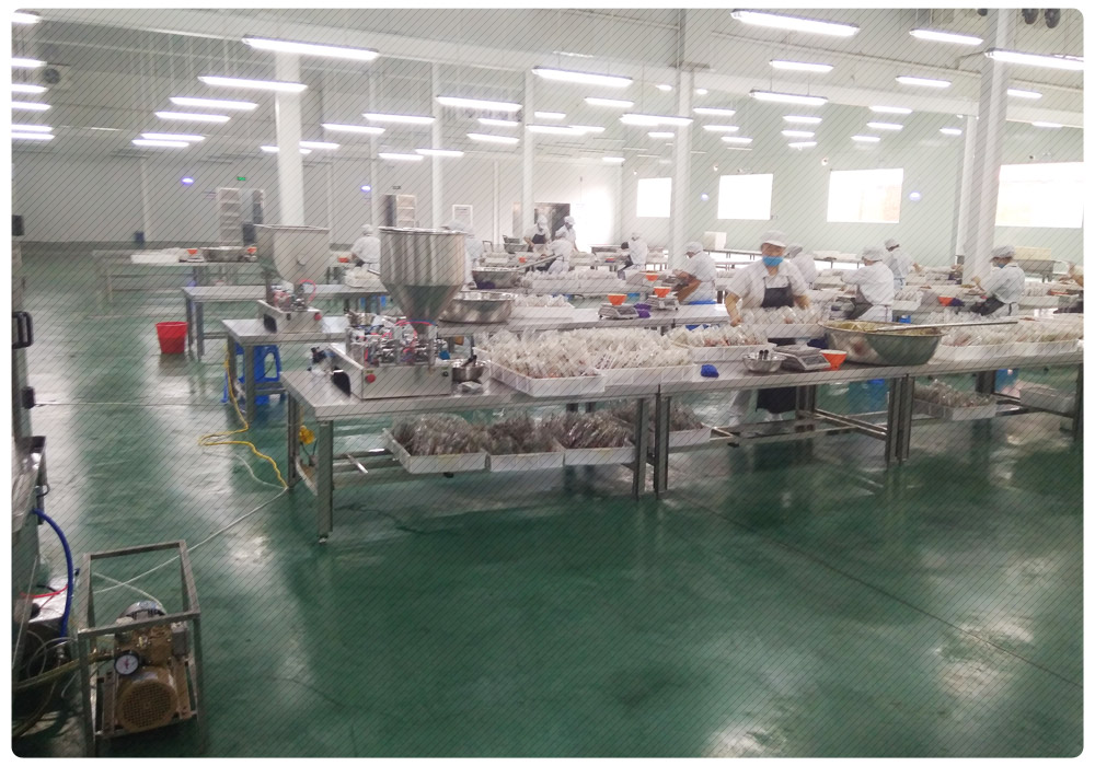 给袋式食品包装生产线-某早餐食品加工生产企业研发设备(图1)